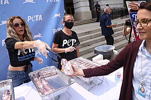 PETA Hosts Annual Congressional Veggie Dog Lunch On Capitol Hill